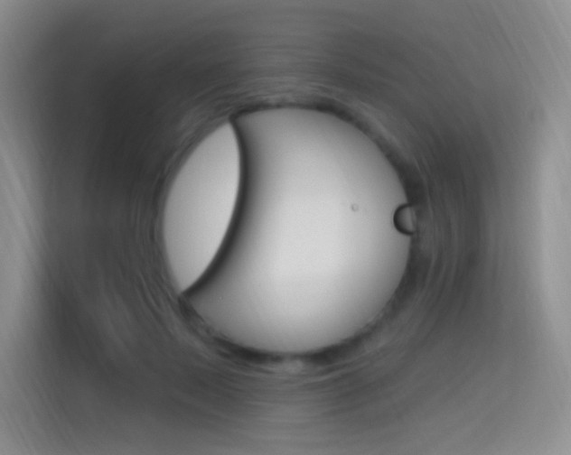 X0000114730695200910211103