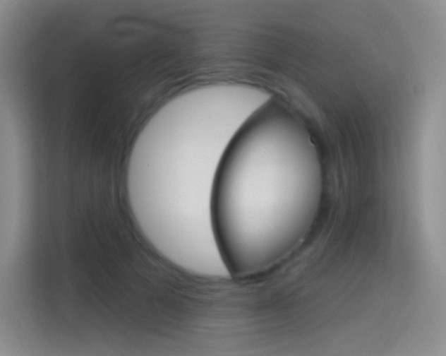 X0000114730697200910211103