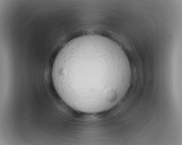 X0000114730698200910211103
