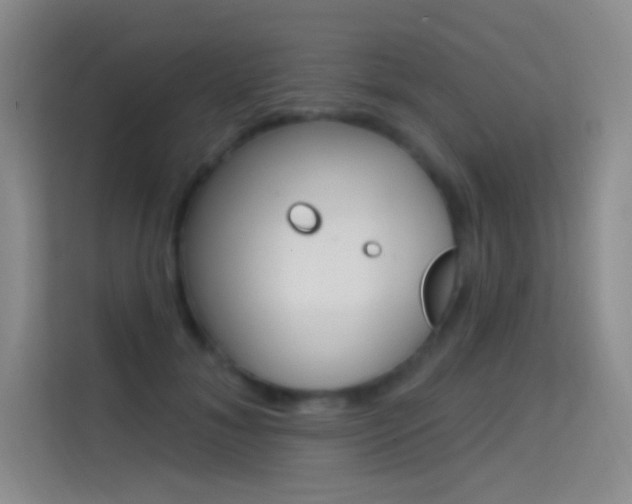 X0000114730700200910211103