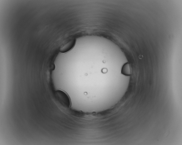 X0000114730703200910211103