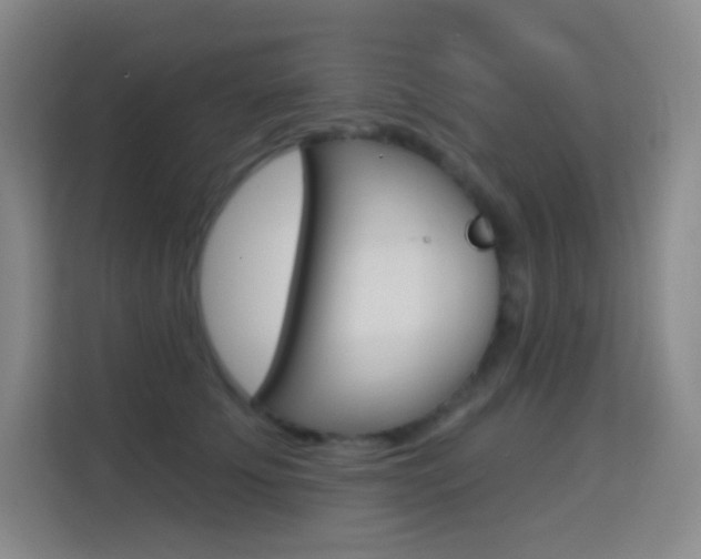 X0000114730707200910211103