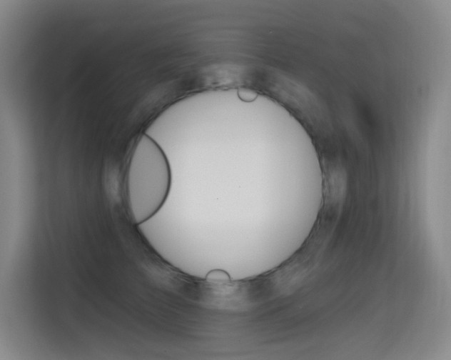 X0000114730709200910211103