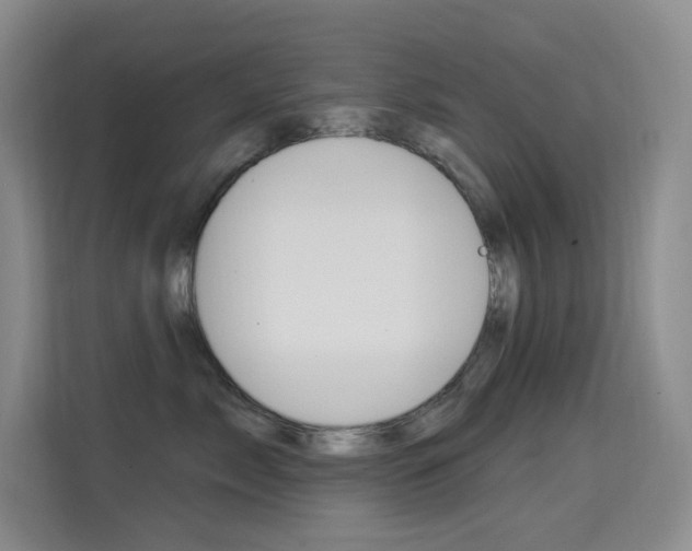 X0000114730717200910211103