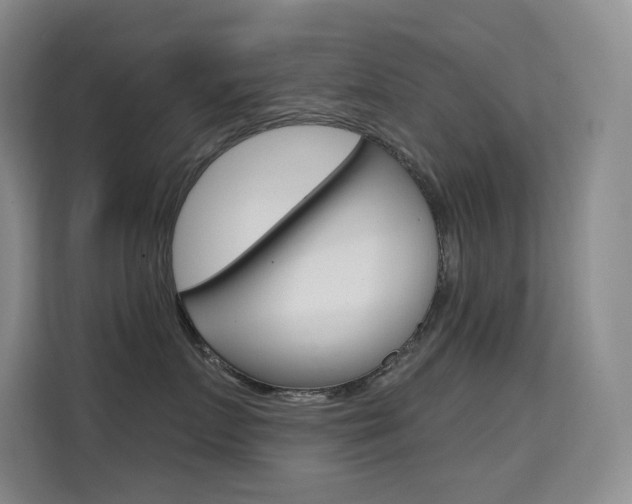 X0000114730719200910211103