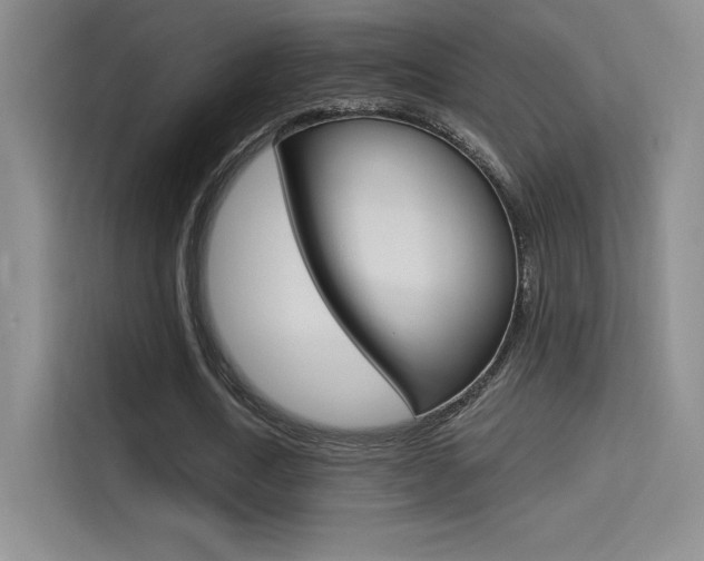 X0000114730722200910211102