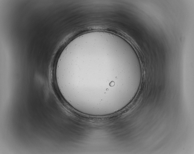 X0000114730725200910211102