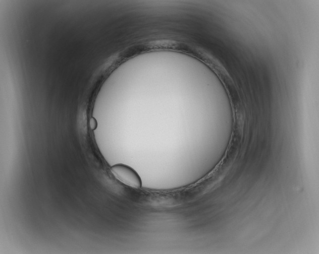 X0000114730729200910211102