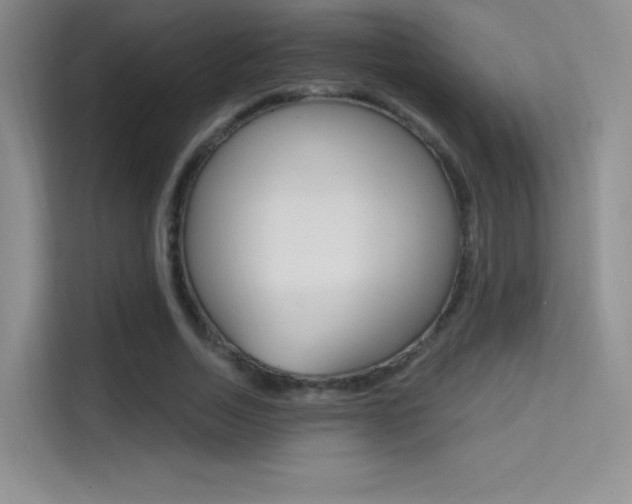X0000114730730200910211102