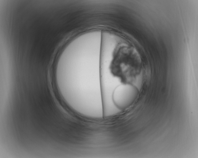 X0000114730734200910211102