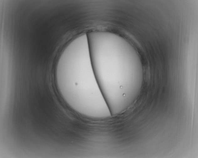 X0000114730738200910211102