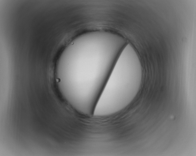X0000114730739200910211102