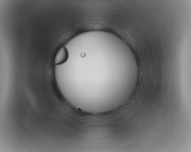 X0000114730743200910211102