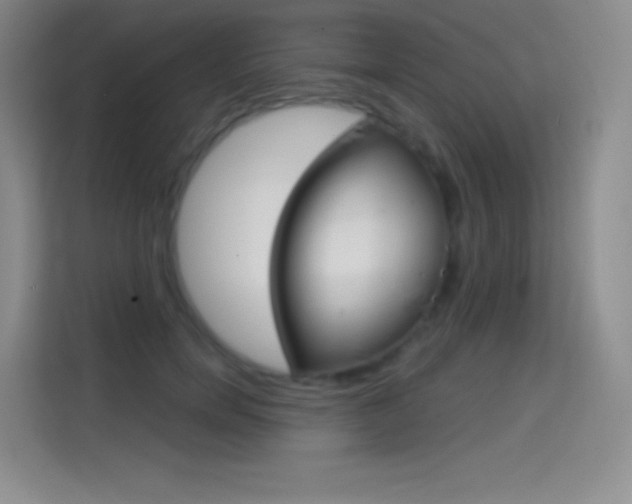 X0000114730750200910211102