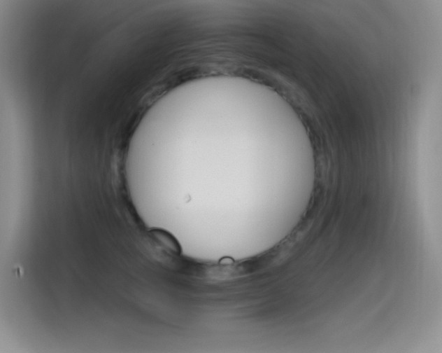 X0000114730757200910211102
