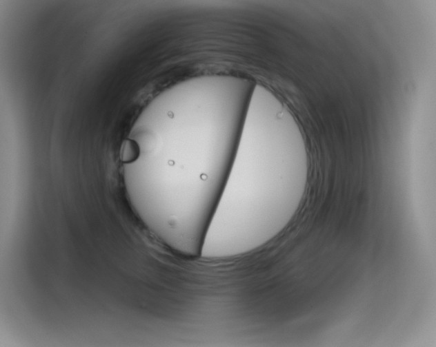 X0000114730759200910211102