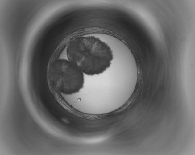 X0000114730765200910211103