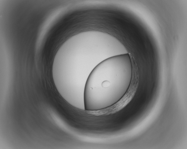 X0000114730766200910211103
