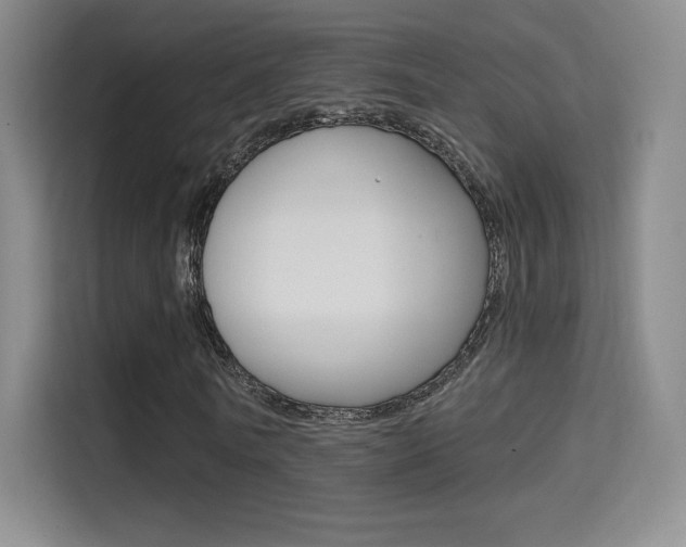 X0000114730770200910211102
