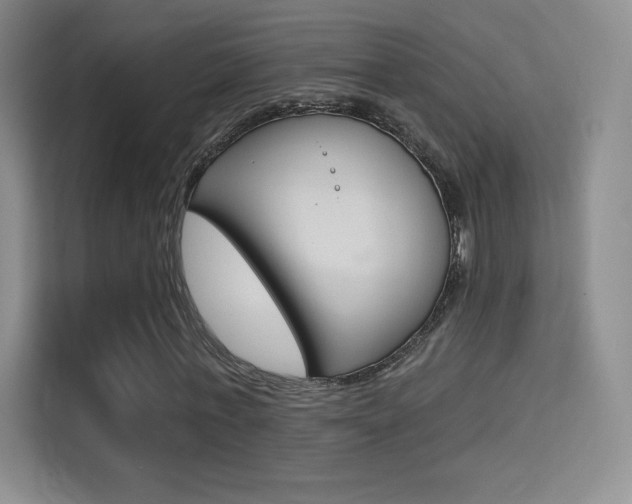 X0000114730771200910211102