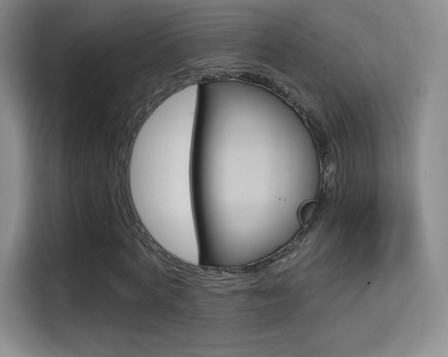 X0000114730772200910211102