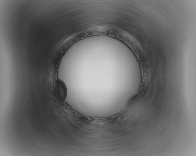 X0000114730773200910211102