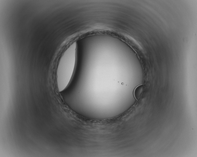 X0000114730776200910211102