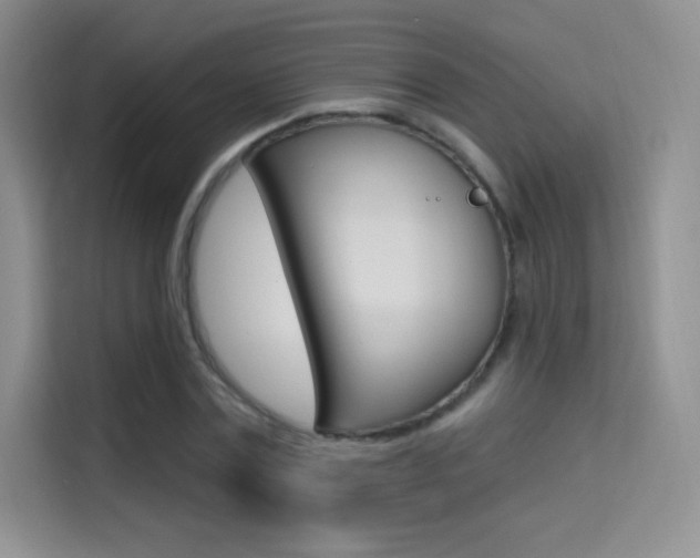 X0000114730779200910211102