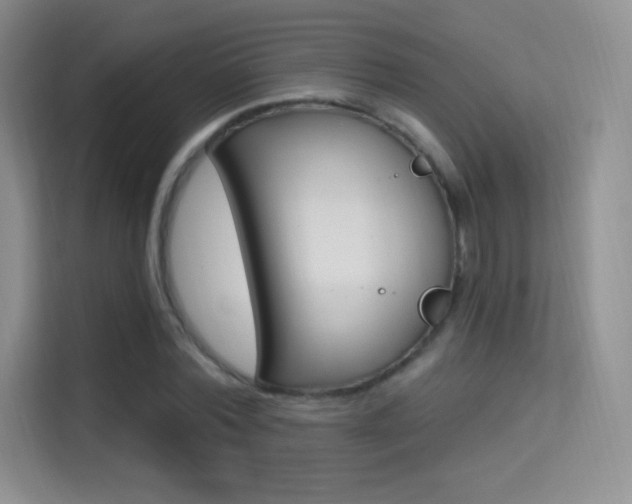 X0000114730780200910211102
