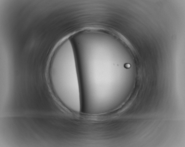 X0000114730787200910211102