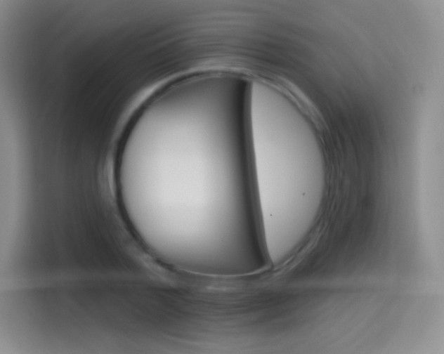 X0000114730788200910211102
