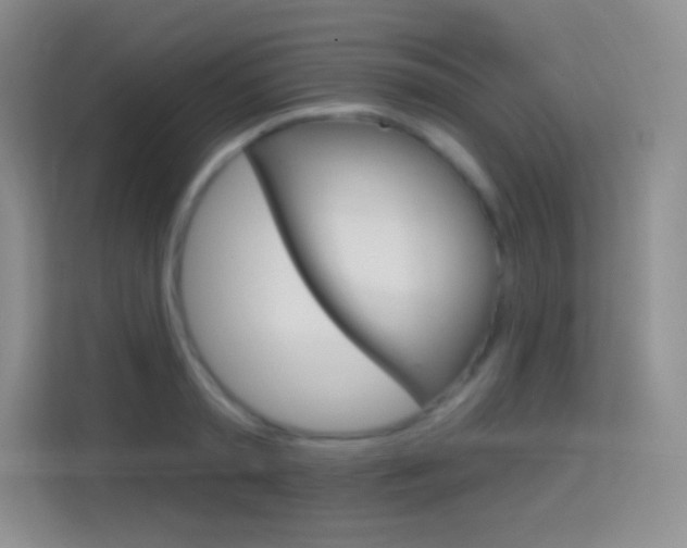 X0000114730797200910211102