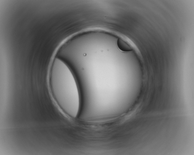X0000114730799200910211102