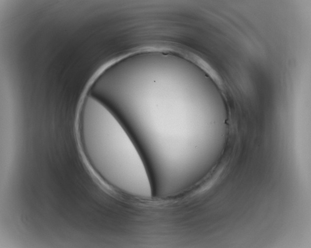 X0000114730803200910211101