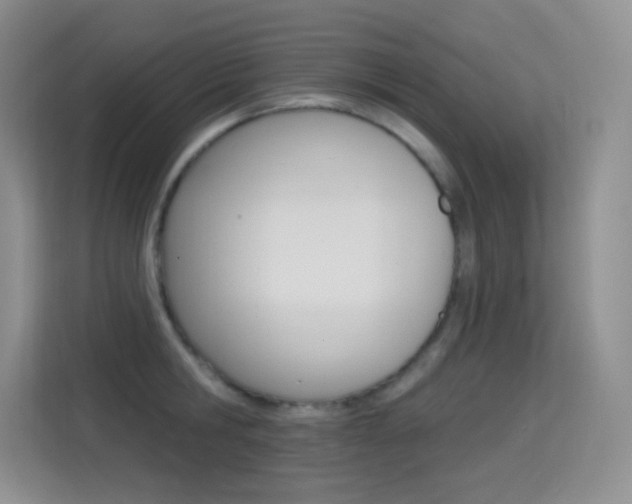 X0000114730806200910211101