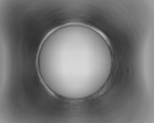 X0000114730807200910211101