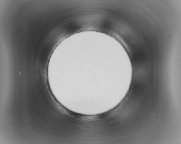 X0000114730810200910211101