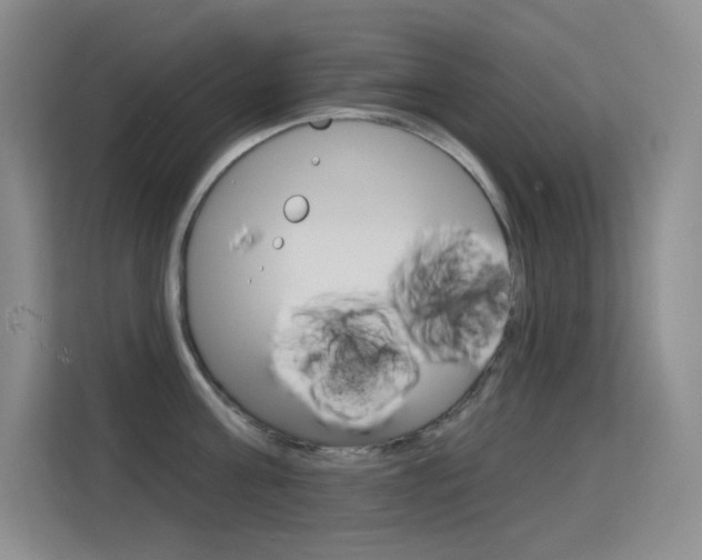 X0000114730811200910211101
