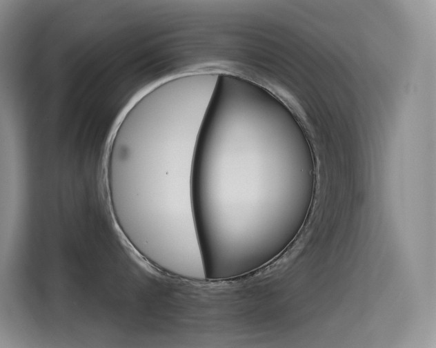 X0000114730816200910211101