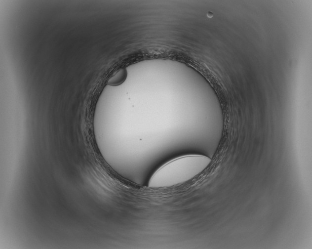 X0000114730817200910211101