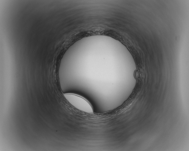 X0000114730818200910211101