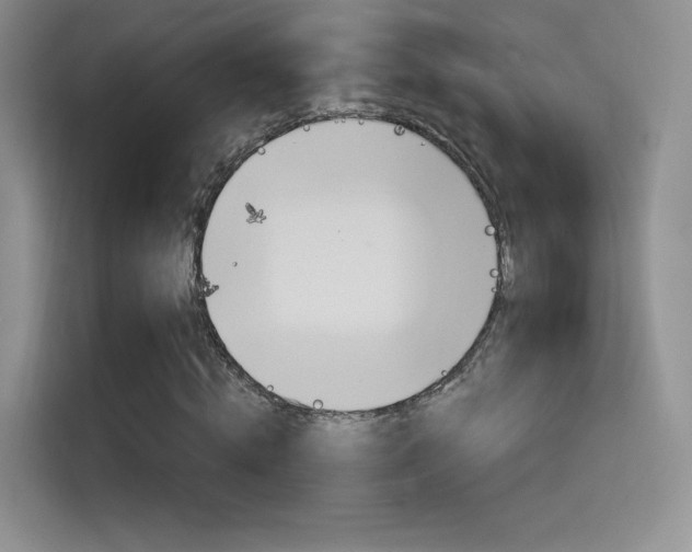 X0000114730820200910211101