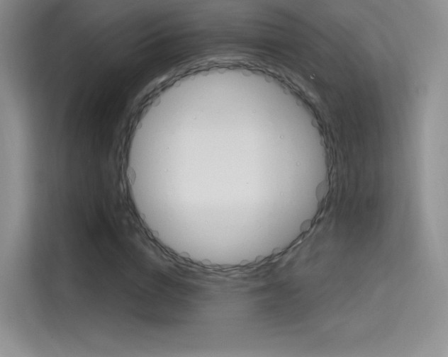 X0000114730824200910211101