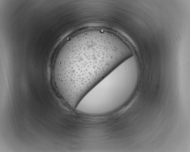 X0000114730829200910211101