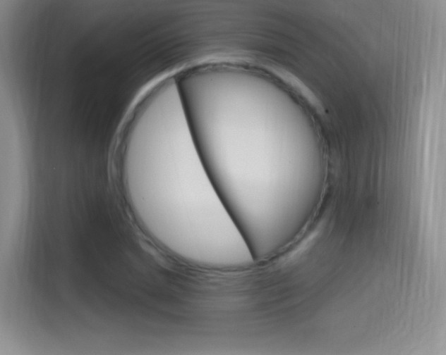 X0000114730830200910211101