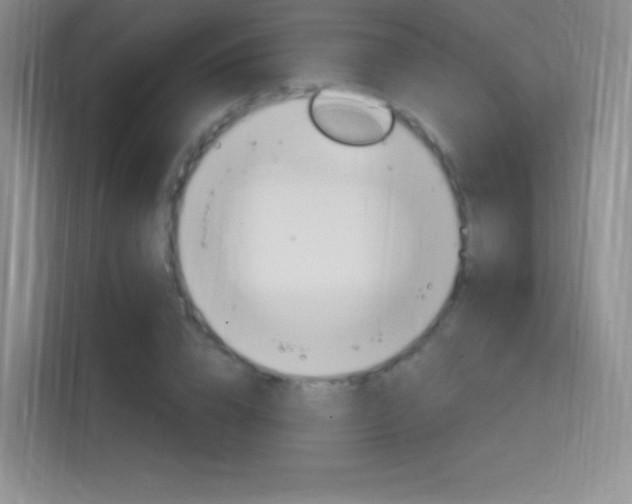 X0000114730832200910211101