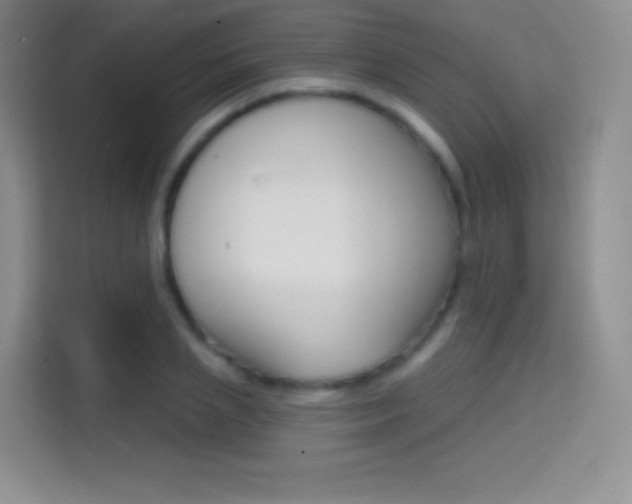 X0000114730837200910211101