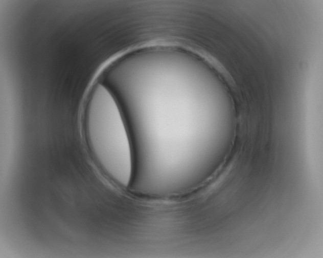 X0000114730838200910211101