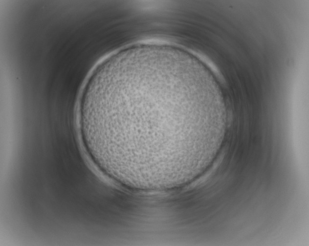 X0000114730848200910211101