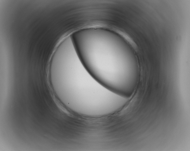 X0000114730850200910211101